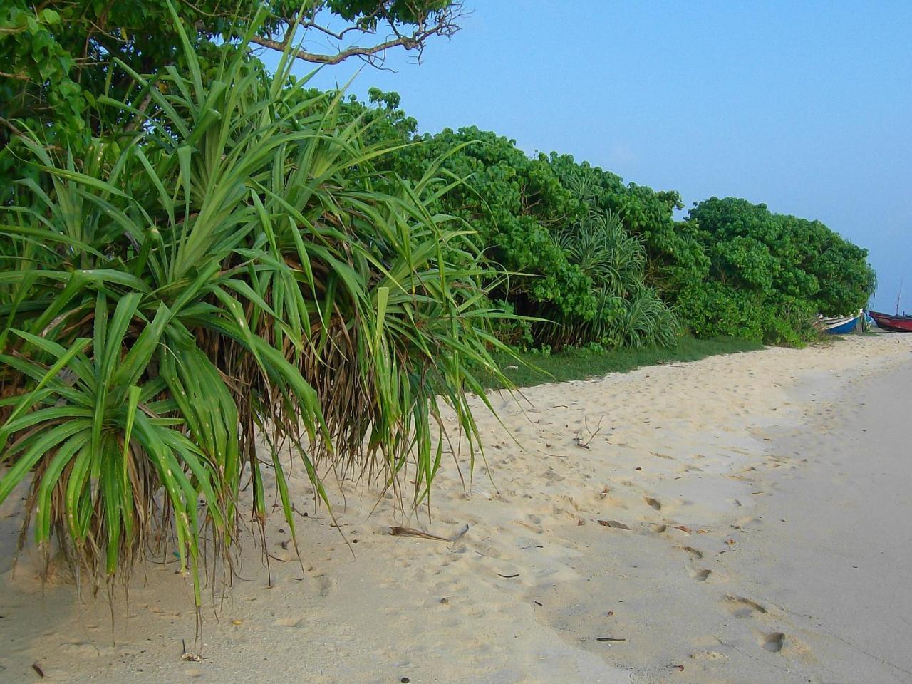 Mendis Cottage Weligama Luaran gambar